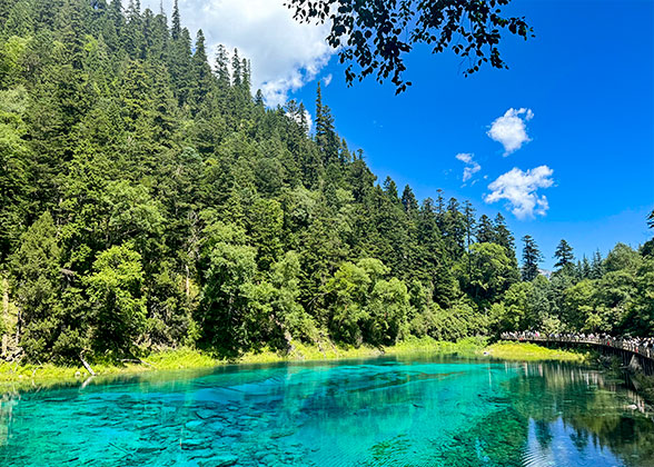 The Five-Colored Pond in Jiuzhaigou